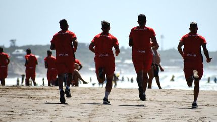 Trabaja en Mar del Plata y se refuerza. Trabaja en Mar del Plata y se refuerza.