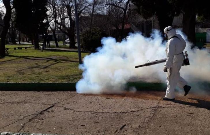 La desinfección es clave para la prevención.