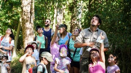 Chicos y chicas ya disfrutan de las actividades junto a sus familias.