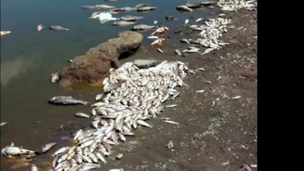 preocupa el estado de la laguna de lobos