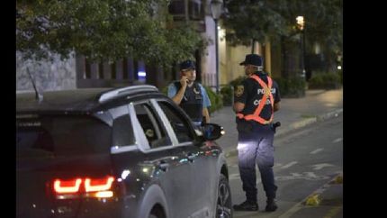 Tareas a cargo de la Policía Federal, Gendarmería Nacional, Prefectura Naval y Policía de Seguridad Aeroportuaria (PSA).