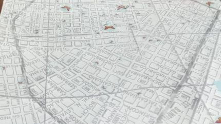 Las 100 casas de los jardines con mariposas.