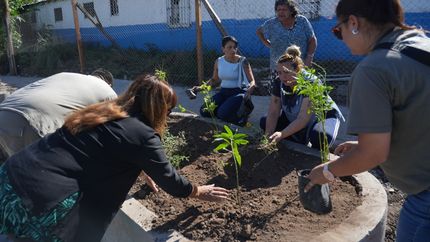 La jornada en Llavallol se realizará en la Avenida del Rey y Cuyo.
