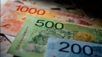 Chau a los animales.