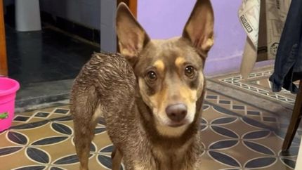 La familia de Almdendra la busca desesperadamente, con el sueño intacto de recuperarla.