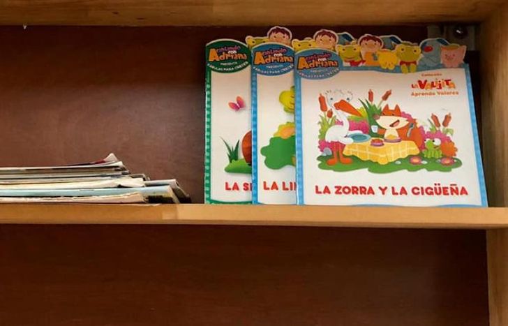 Necesitan más libros de cuentos y un mueble para que queden disponibles en el área de pediatría.
