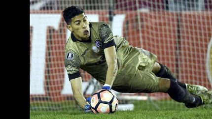 andrada apuesta por las copas andrada apuesta por las copas