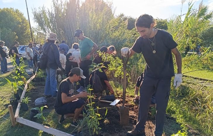 Una iniciativa de un grupo de forestadores en Turdera.