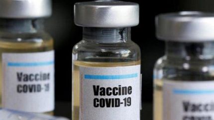 el gobierno definio las pautas para la compra de las vacunas contra el covid