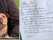 La historia de Zoe conmueve a todo Monte Grande donde tratan de localizar al jubilado que dejó a su perra en El Campito Refugio.&nbsp;