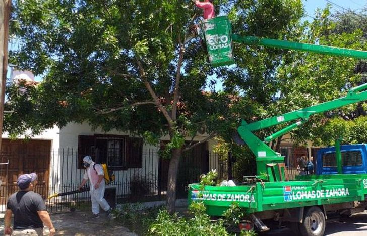 En los operativos usan hidroelevadores.