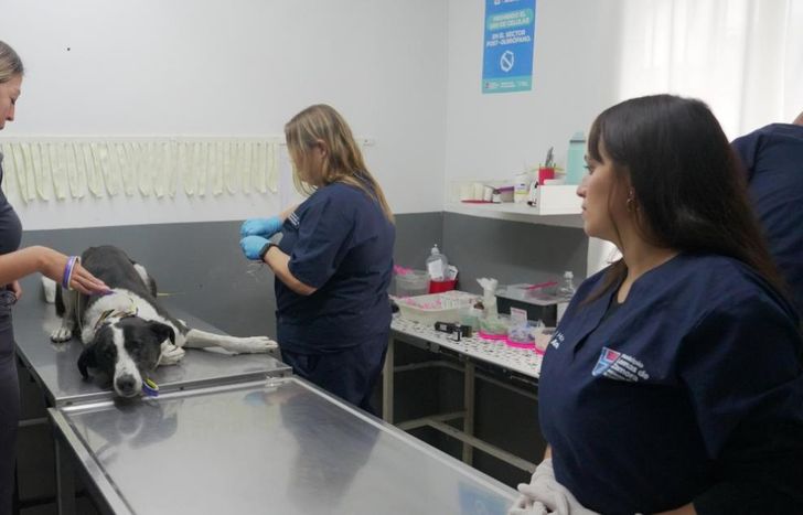 El hospital está ubicado en 12 de Octubre 1100.