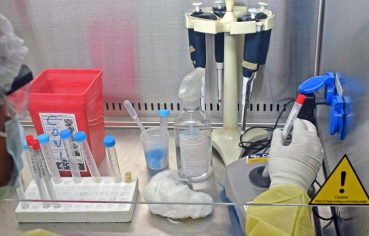 En las últimas 24 horas fueron realizados 17.338 testeos.