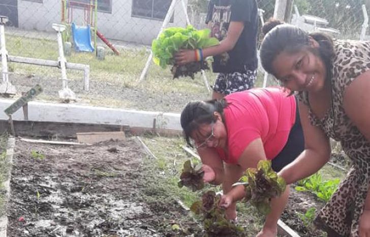 Las vecinas trabajando en la cosecha.