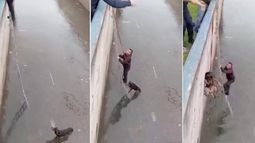 El video se viralizó en redes sociales.
