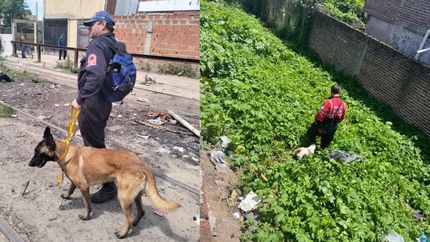 El operativo se realizó en la zona donde habían encontrado el cuerpo.