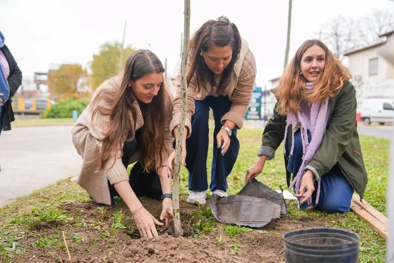 Un árbol como símbolo de vida, memoria y compromiso.
