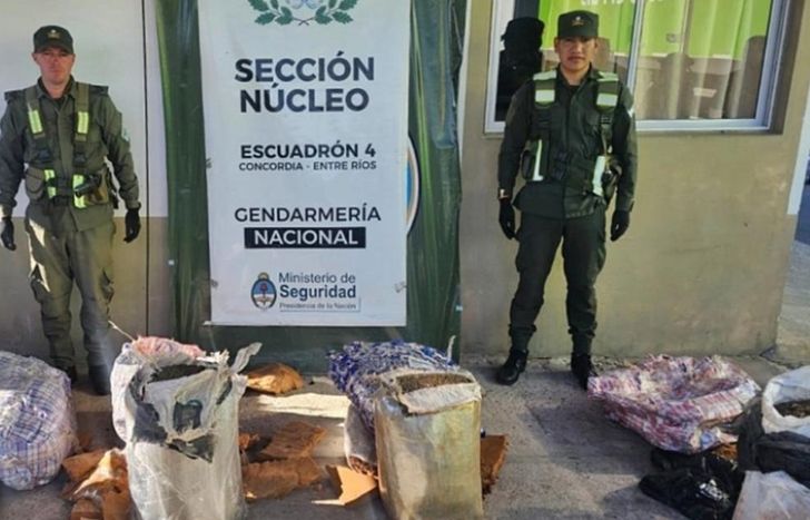 El operativo fue realizado por Gendarmería Nacional.
