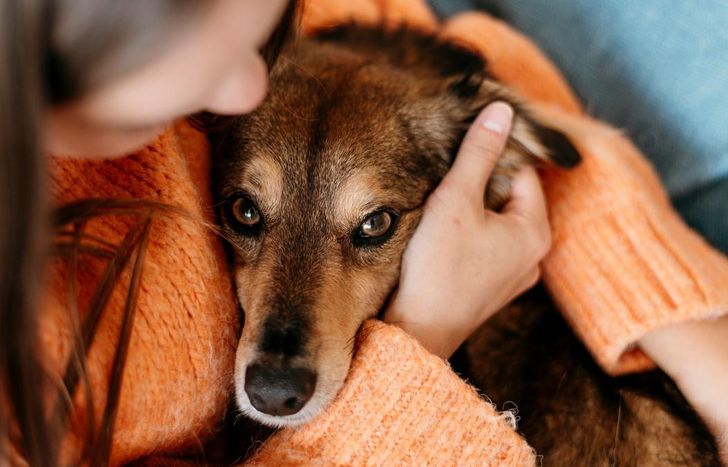 Humanos y animales sufren por el uso de la pirotecnia. Piden conciencia en la sociedad de Lomas para pasar unas Fiestas felices y en paz.