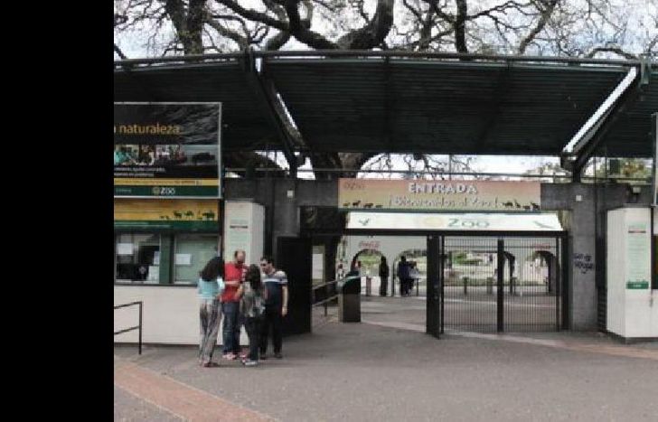 zoo