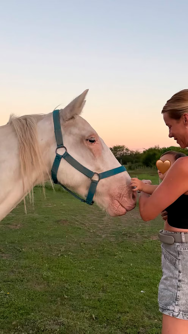 Nicole Neumann,, defensora de los animales. 