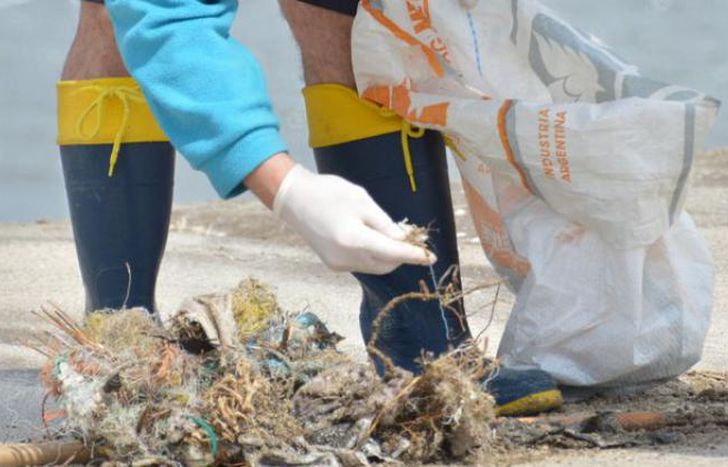 El objetivo primordial es cuidar el planeta.