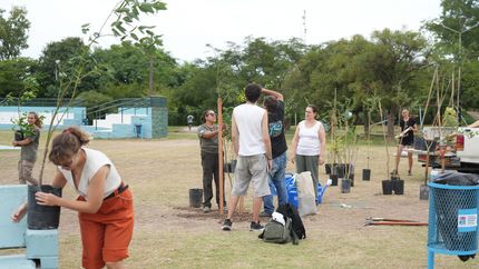 Con la forestación siguen mejorando los parques, plazas y calles de Lomas.