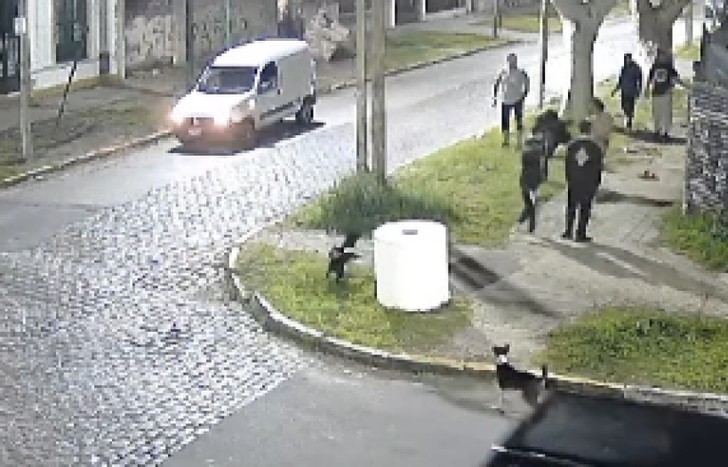 El episodio ocurrido en septiembre quedó filmado.