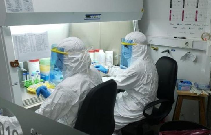 En las últimas 24 horas, se hicieron 67.507 testeos.