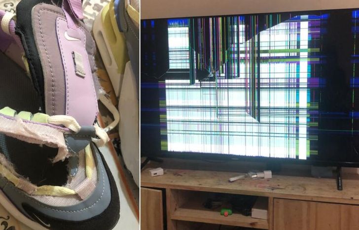 Los destrozos que dejó el acusado en la casa de la víctima.