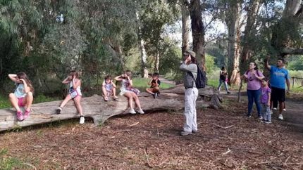 Una gran cantidad de jornadas gratuitas.