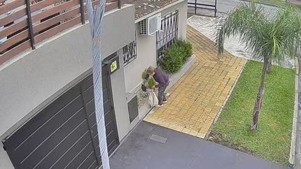 El insólito robo quedó filmado.