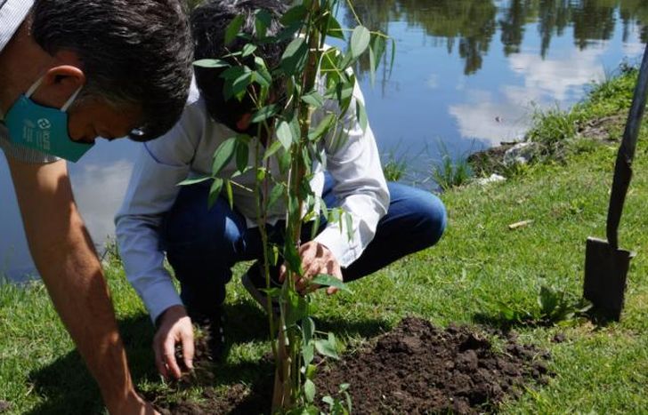 El Ceibo es la flor nacional.