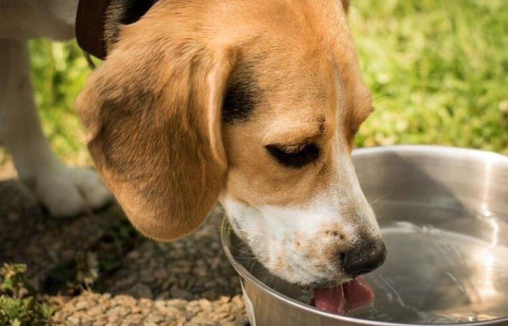 Es clave la hidratación.