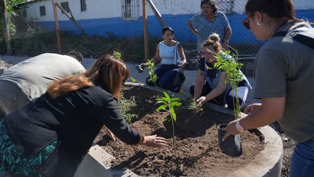 La jornada en Llavallol se realizará en la Avenida del Rey y Cuyo.
