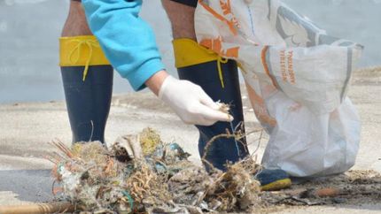 El objetivo primordial es cuidar el planeta.