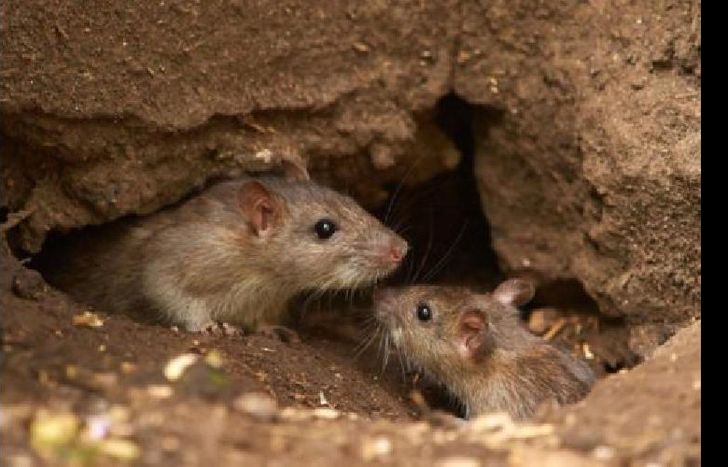 todavía hay personas aisladas.