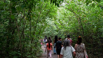 La Reserva Santa Catalina es una salida ideal para hacer en verano.