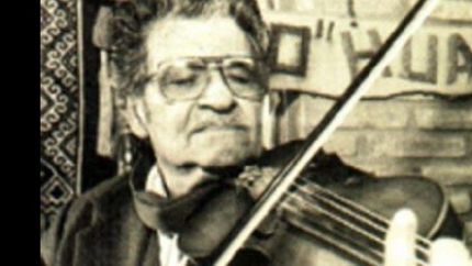 gato escondido de amor