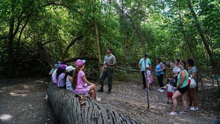 En enero arrancan las actividades ambientales en Lomas.