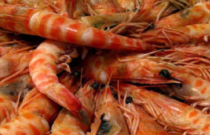 langostino