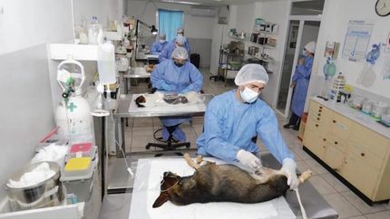El hospital está ubicado sobre la Avenida 12 de Octubre al 1100.