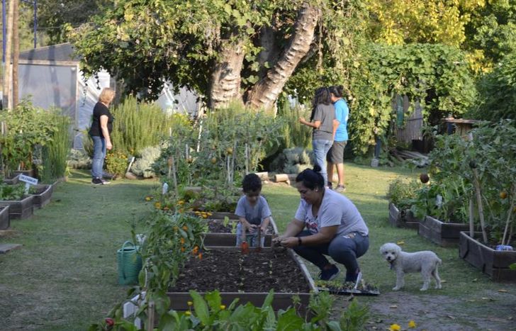 En Lomas ya instalaron 90 huertas agroecológicas.