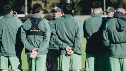 Troglio maneja distintas alternativas para potenciar a su Banfield. Troglio maneja distintas alternativas para potenciar a su Banfield.