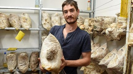 Producen para el público que los contacta, para dietéticas y verdulerías.