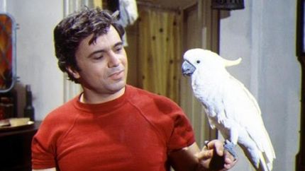 Baretta y su cacatúa.