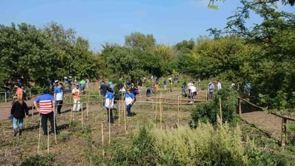 En abril plantaron 500 árboles en una jornada inédita.