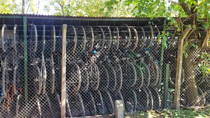 trenes cada vez mas llenos de bicicletas: que hay detras del fenomeno