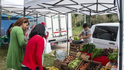 Habrá varias ofertas, promos y combos especiales. Habrá varias ofertas, promos y combos especiales.