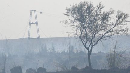 El humo después del fuego en las islas del Paraná.